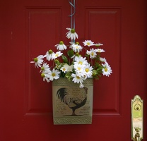 October 18, 2004 First Photos with Canon Digital Rebel