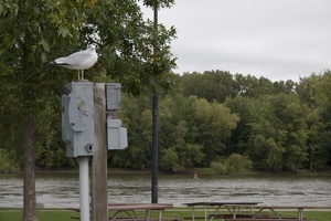 20060908 Great River Road