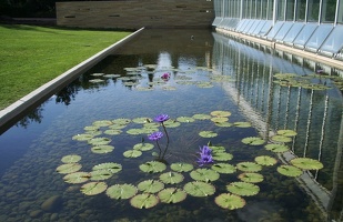 20060820 Summer St. Paul Como Zoo