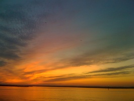 2009 Lynne Finally Visits Chincoteague Island